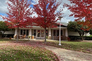 Brushy Creek expansive courtyard and trees