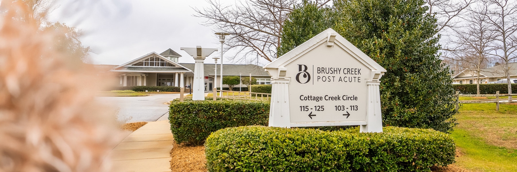 Desktop Background Image